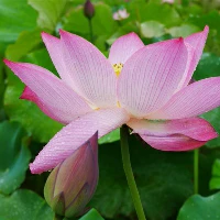 制定篮球交流计划以促进个人技能发展的方法_1